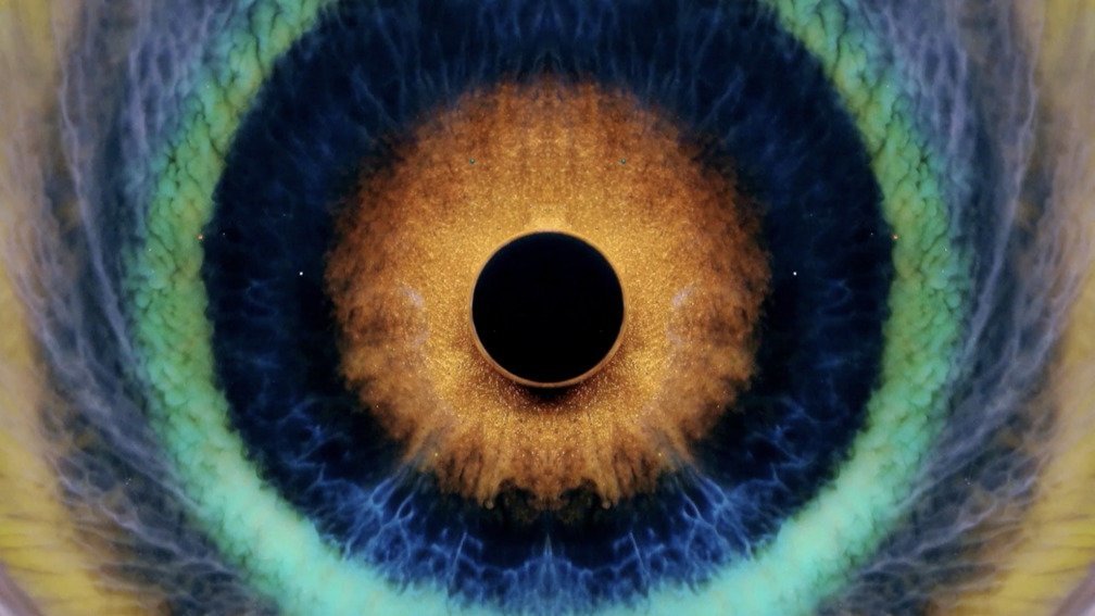 Lost Colours In The War. Part 9