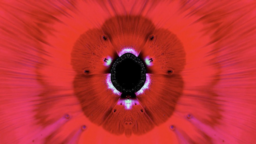 Lost Colours In The War. Part 11