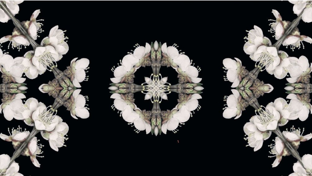 Lost Colours In The War. Part 20