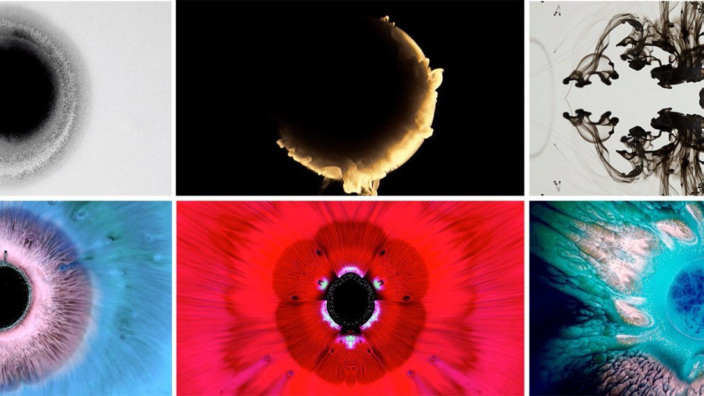 Lost Colours In The War