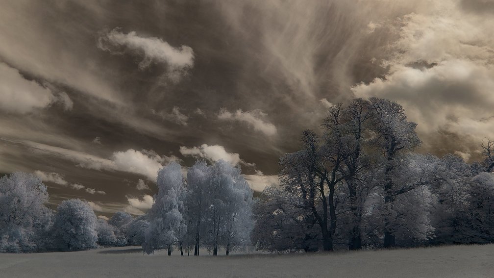 Ashdown Forest, England 5