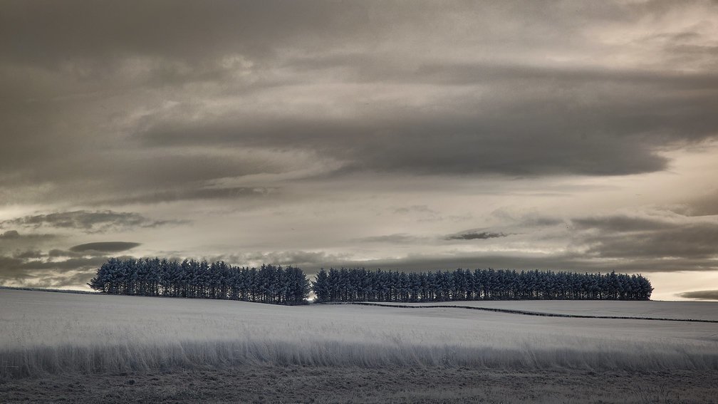 Aberdeenshire, Scotland 1