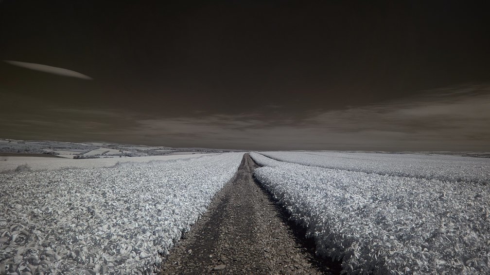 Aberdeenshire, Scotland 3