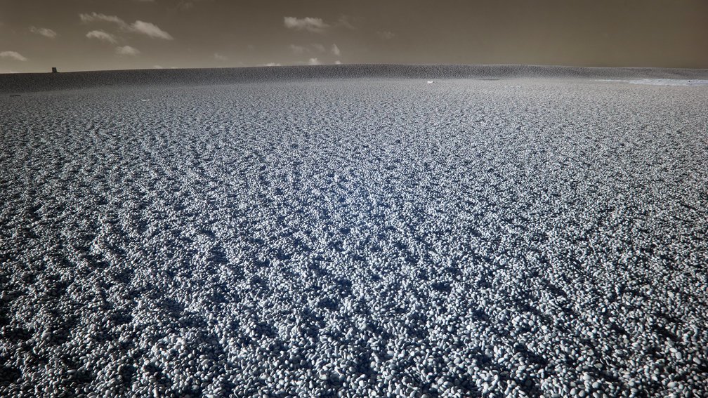 Chesil beach, England 2