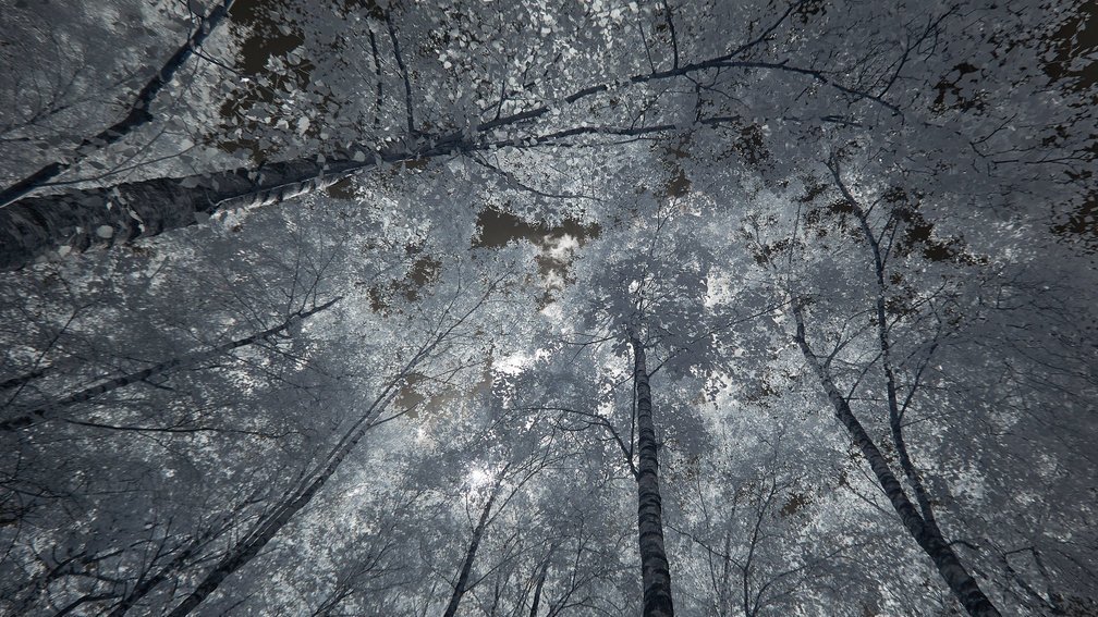 Groombridge, England