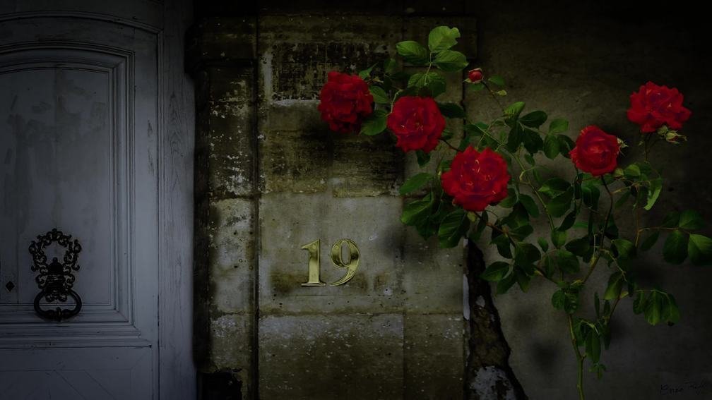 Clémence Unvisited