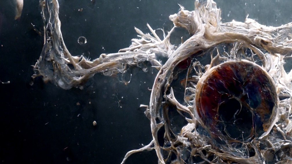 BIODIGITALMEDIAFILIA #1