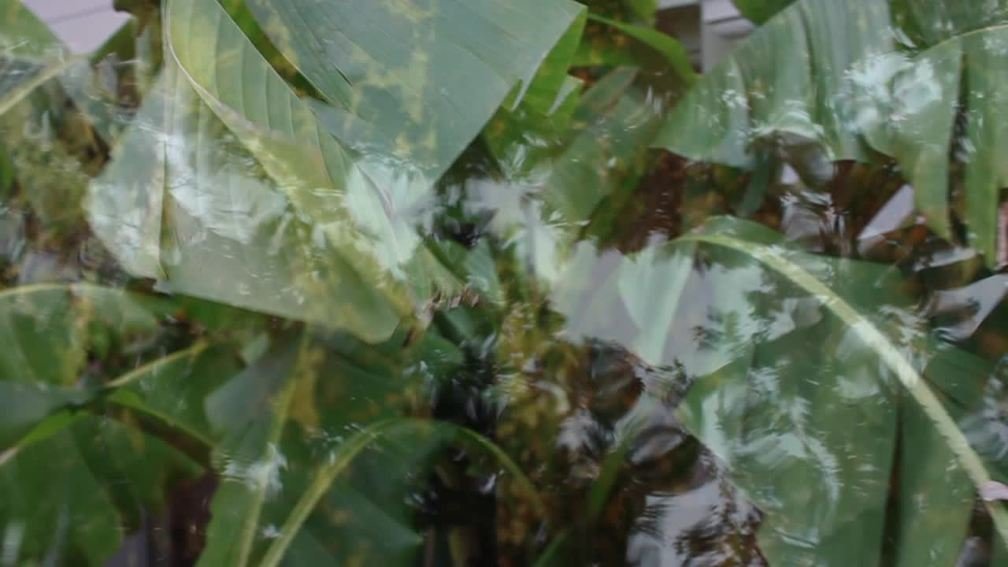 Waiting for the Natural to be Turned On