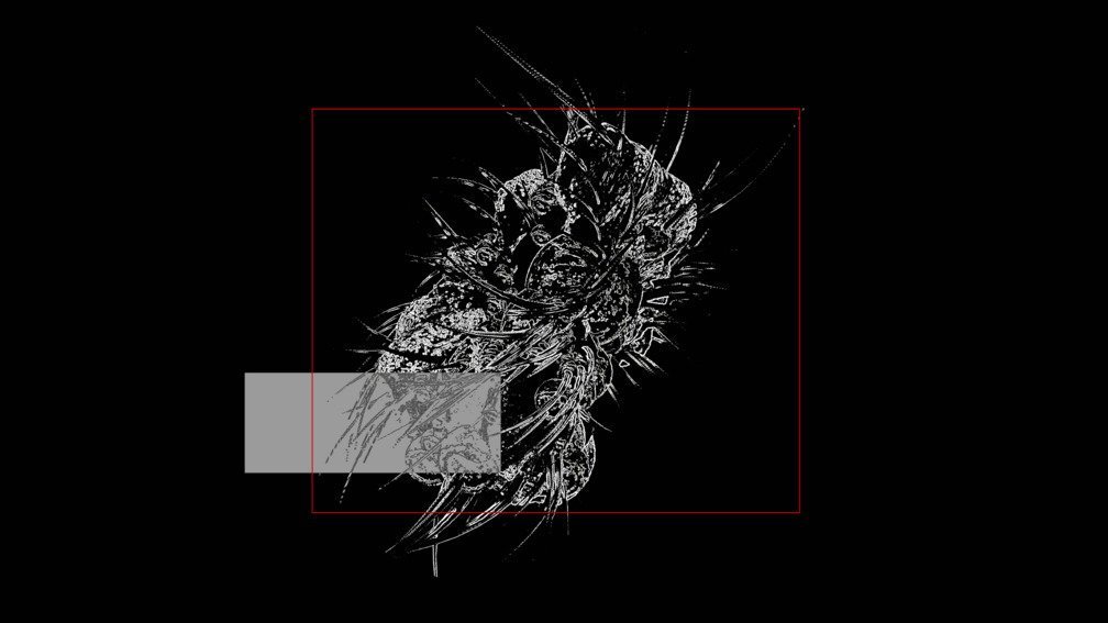 Morphologies_Still007