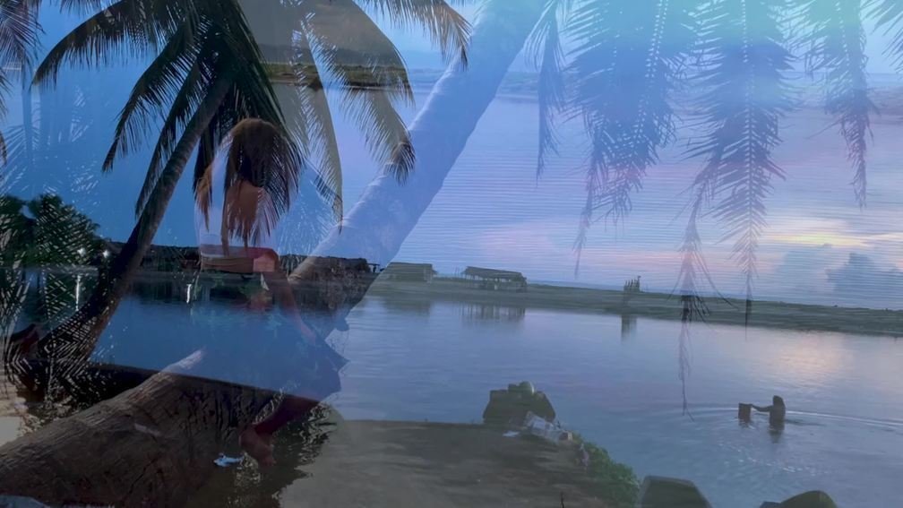 Where the Jungle Meets the Sea