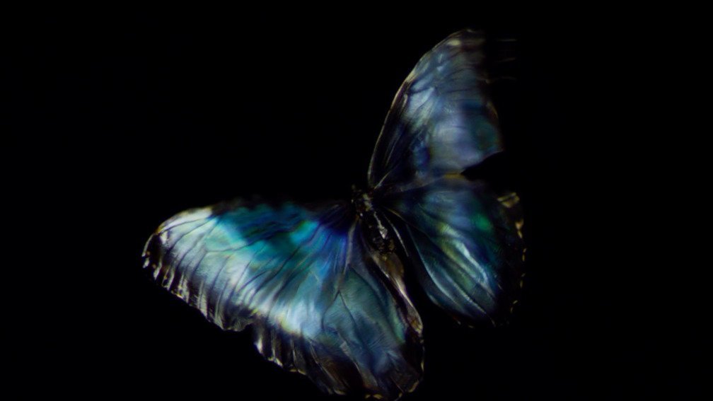 fragility in blue water