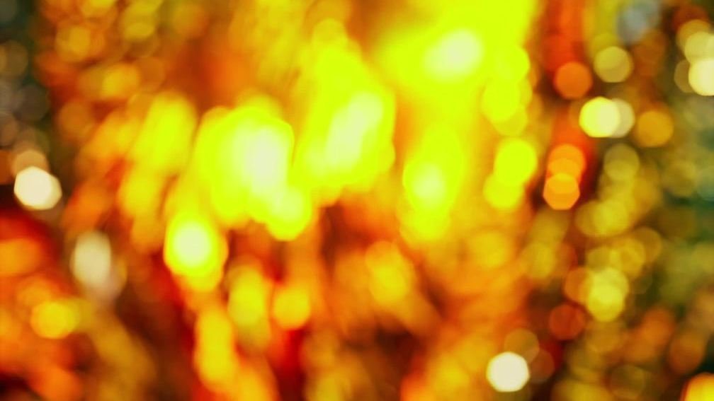 Reverie: Dubai (Portrait)