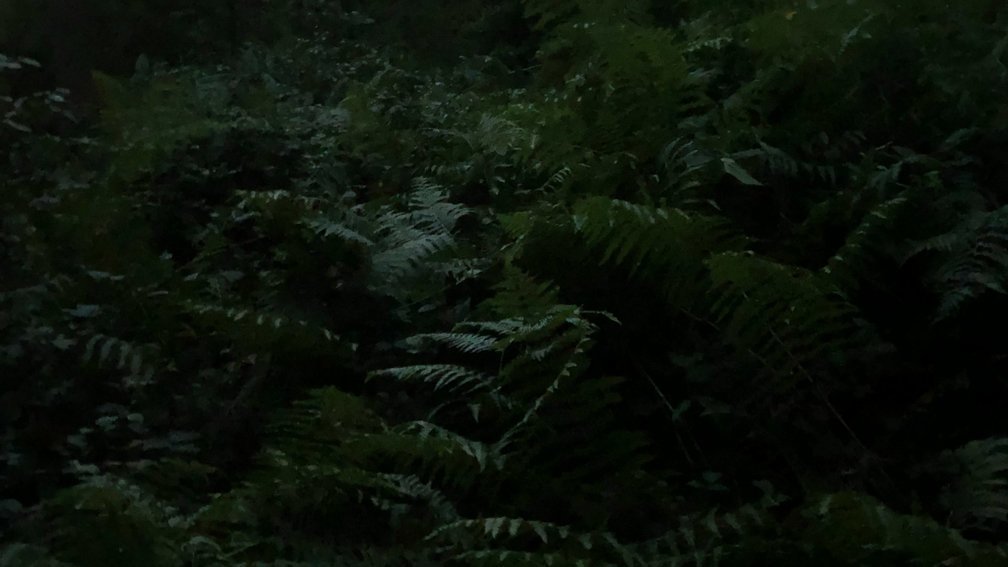 Preparing for the Day 2