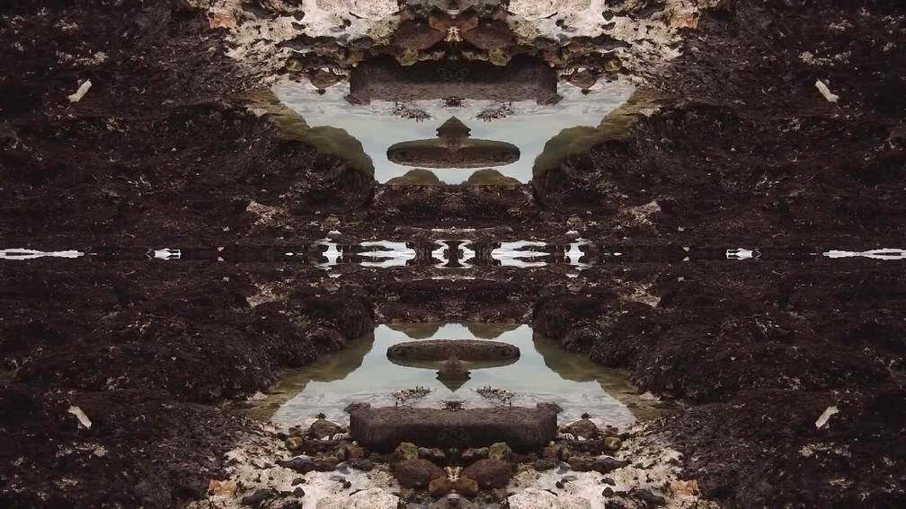 Floating to an Observant Sea