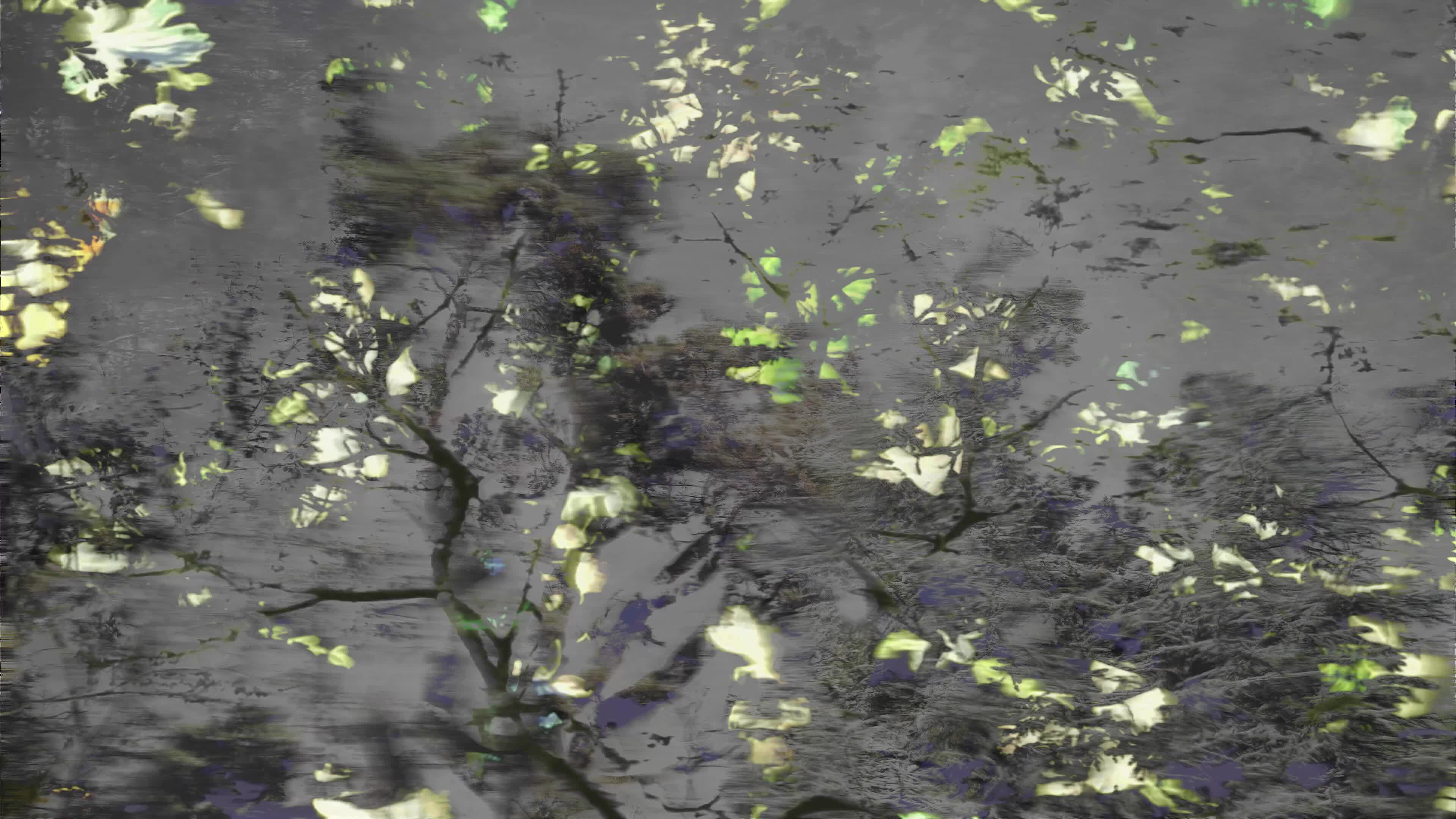 Circuitry 07