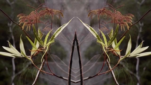Hybrid No.1