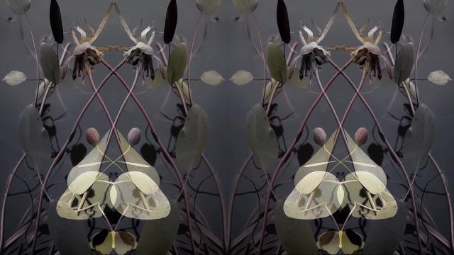 Hybrid No.3