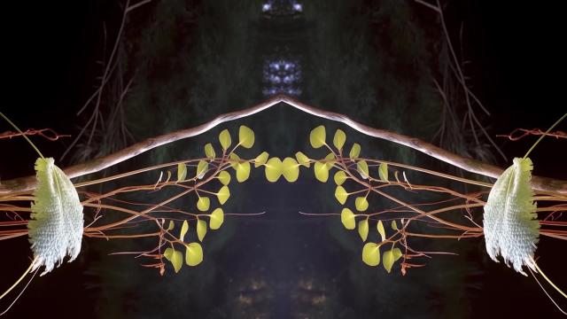 Hybrid No.4