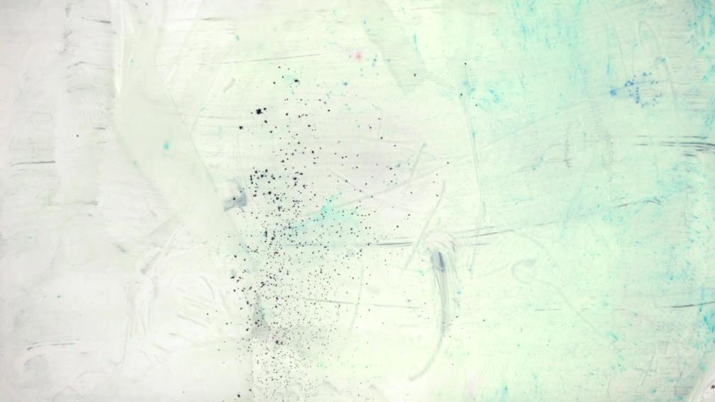 The Deep Sea Sensation