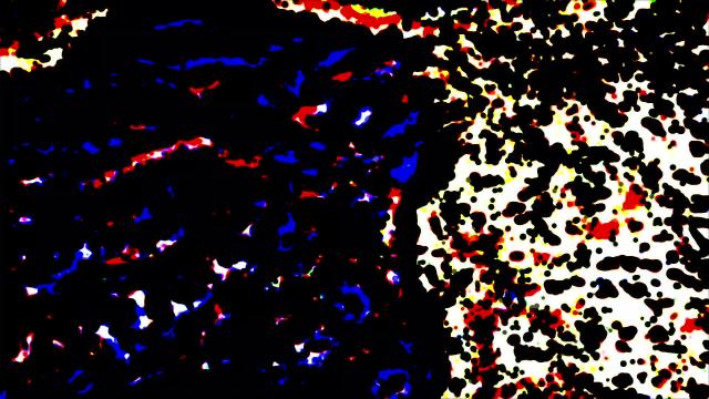 Baroque Meditations/Goldberg Variation 'Aria da Capo'