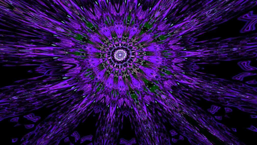 Violet Cathedral Rose